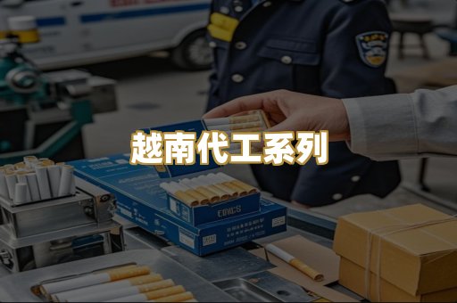 越南代工系列